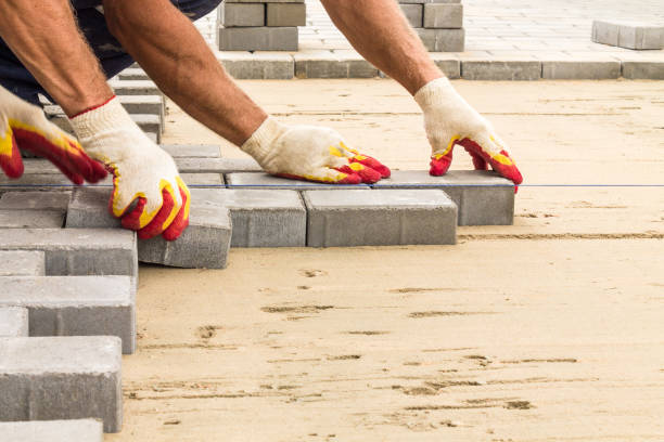 Best Driveway Pavers for Homes  in Elbow Lake, MN