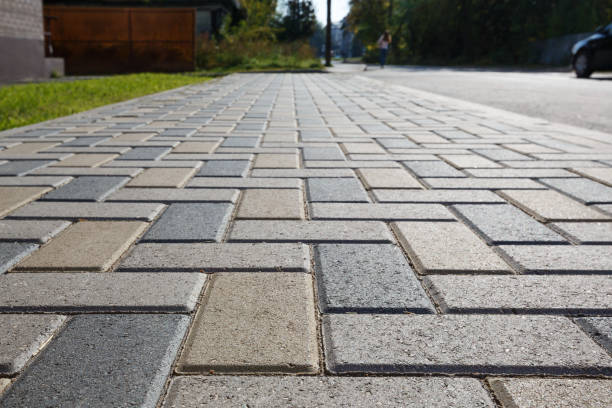 Best Residential Paver Driveway  in Elbow Lake, MN