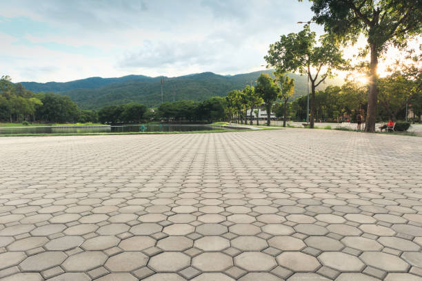 Best Custom Driveway Pavers  in Elbow Lake, MN