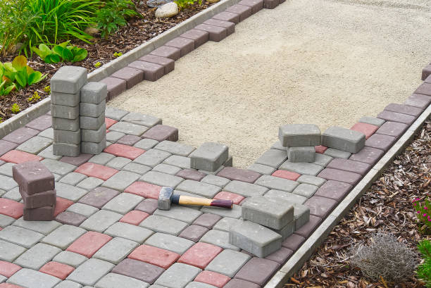 Best Best Driveway Pavers  in Elbow Lake, MN