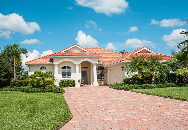 Best Driveway Paving Contractor  in Elbow Lake, MN