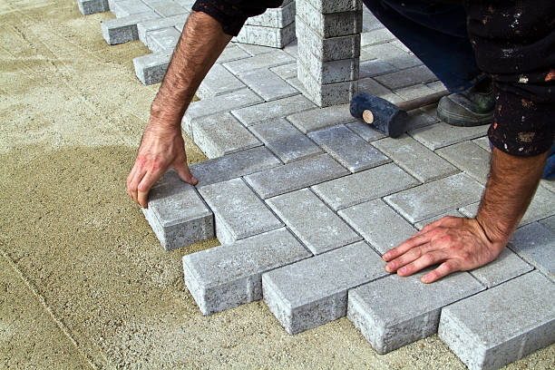 Best Custom Driveway Pavers  in Elbow Lake, MN